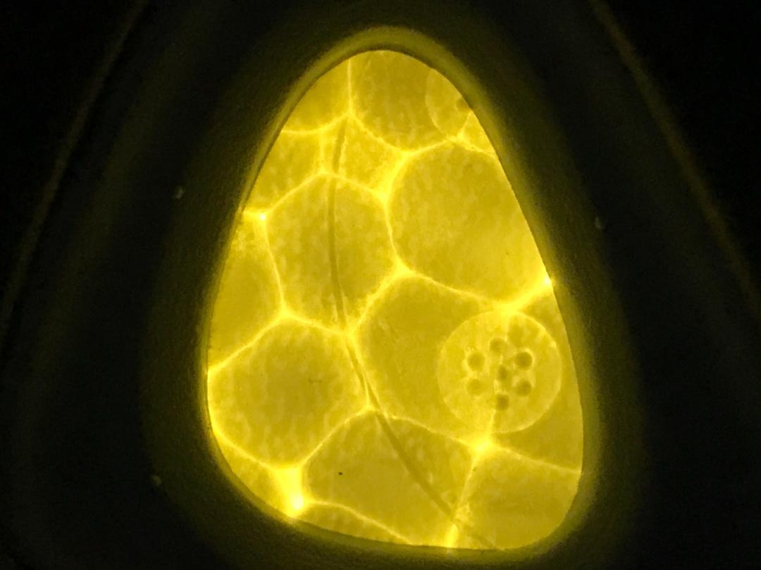 efec6e349573e57602032255e51c7832_1596075049_1841.jpg