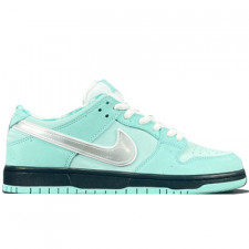 [정품급버전] 나이키 X 컨셉트 SB 덩크로우 Nike sb dunk low x concepts