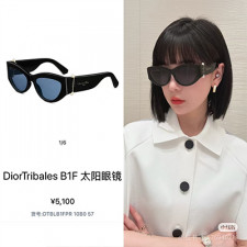 [선글라스] DIOR 신상 남여공용 디올 선글라스 TribalesB1F